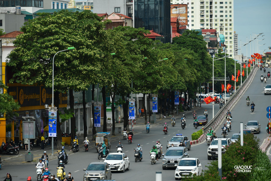 Những cơn gió se se lạnh đầu thu tràn về thành phố cũng là lúc mùi hoa sữa nồng nàn da diết ngập tràn trên phố Hà Nội.