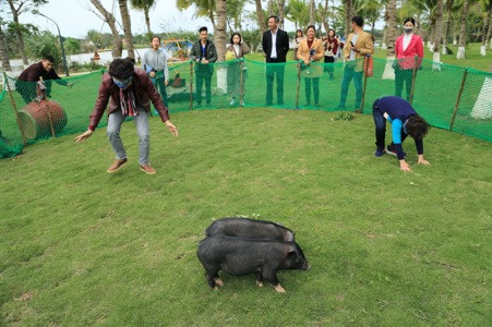 Rất nhiều những trò chơi dân gian như: đánh đu, đi cầu kiều, bịt mắt đập niêu, ô ăn quan, cờ dân gian, ném còn, cà kheo, nặn tò he…. giúp các gia đình có được những giây phút vui cười bên nhau để khởi đầu những ngày xuân tươi mới tràn ngập hạnh phúc.