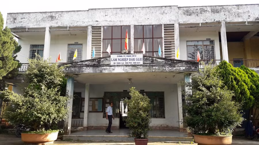 Công ty TNHH MTV lâm nghiệp Đăk Glei nơi xảy ra hàng loạt các sai phạm.