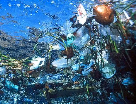 Ô nhiễm Đại dương: S.O.S