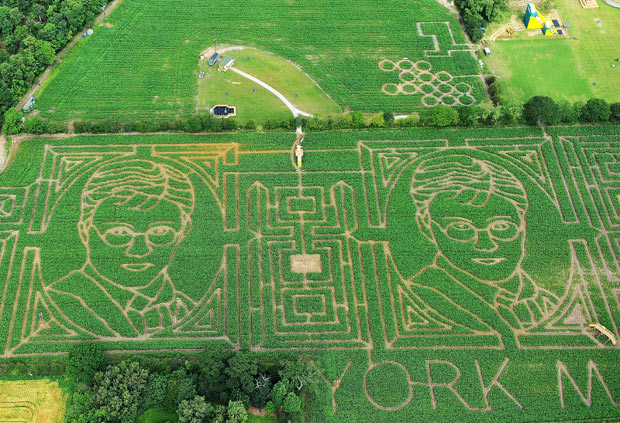 An aerial view of the York Maize Maze in the shape of Harry Potter. Farmer Tom Pearcy has cut two portraits of Harry Potter in his crop of maize plants in York. With some subtle differences the two images create the world’s largest spot the difference competition. At over 50m in diameter, and cut out of more than one million living maize plants, the York Maze is the largest ’Maize Maze’ in Europe and one of the largest in the world.