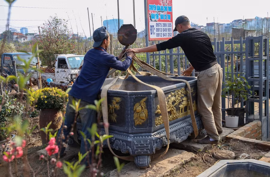 Chủ vườn tại Nhật Tân, ông V. cho hay, việc cho thuê đào cảnh cũng không ít rủi ro. Tất cả các khâu từ vận chuyển, cho tới chậu dùng và trồng đào đều từ phía nhà vườn sắp xếp. Người thuê cũng không mấy khi lo đến việc chăm sóc.