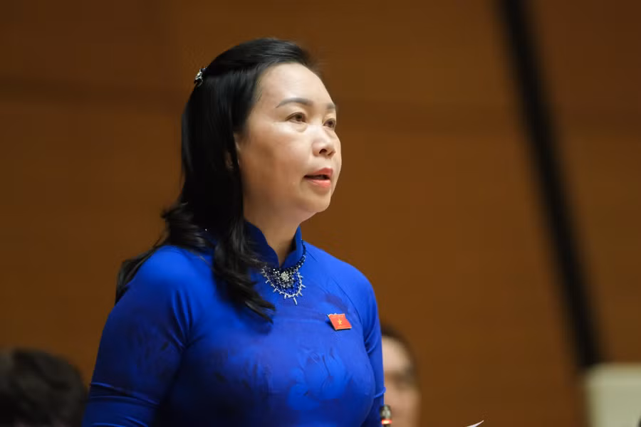 Đại biểu Lý Tiết Hạnh - Đoàn ĐBQH tỉnh Bình Định