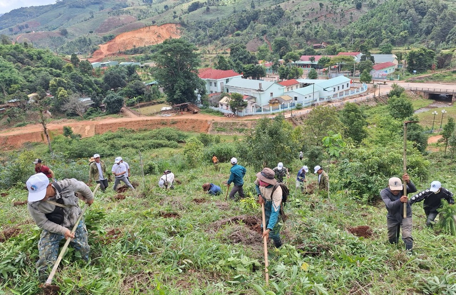 Người dân trồng cây hưởng ứng ngày &quot;Môi trường Thế giới 5/6”.