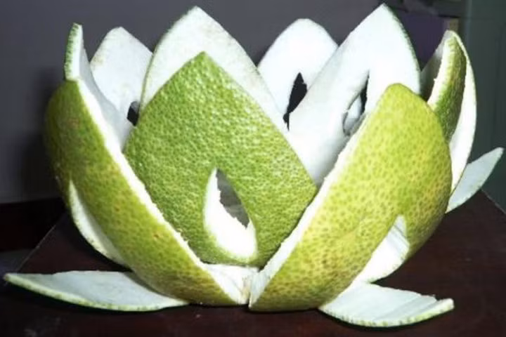 Ăn bưởi không nên bỏ vỏ