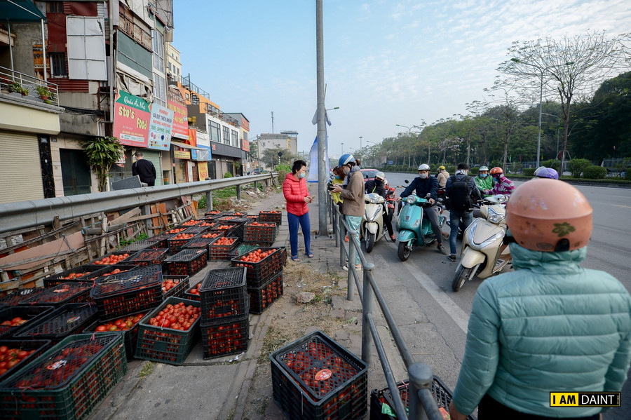 Giải cứu nông sản cho bà con vùng dịch, 80 nghìn đồng một thùng cà chua ảnh 5