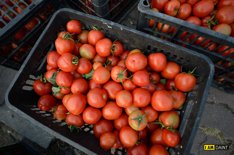 Giải cứu nông sản cho bà con vùng dịch, 80 nghìn đồng một thùng cà chua ảnh 3