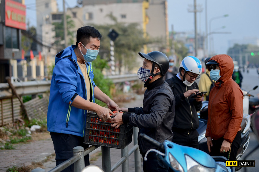 Giải cứu nông sản cho bà con vùng dịch, 80 nghìn đồng một thùng cà chua ảnh 14