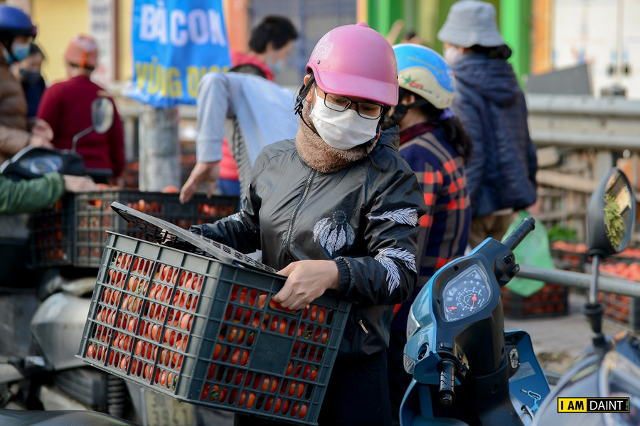 Theo thống kê, trên địa bàn tỉnh Hải Dương còn 4.087 ha rau vụ đông đang đến kỳ thu hoạch với sản lượng khoảng 90.767 tấn, chủ yếu là hành 55.902 tấn (80% bảo quản nông hộ, 20% chế biến tại tỉnh); cà rốt 26.766 tấn (90% xuất khẩu, 10% tiêu thụ nội địa); rau bắp cải, su hào, súp lơ, rau ăn lá các loại 8.100 tấn (30% xuất khẩu, 70% tiêu thụ nội địa) cần được tiêu thụ.