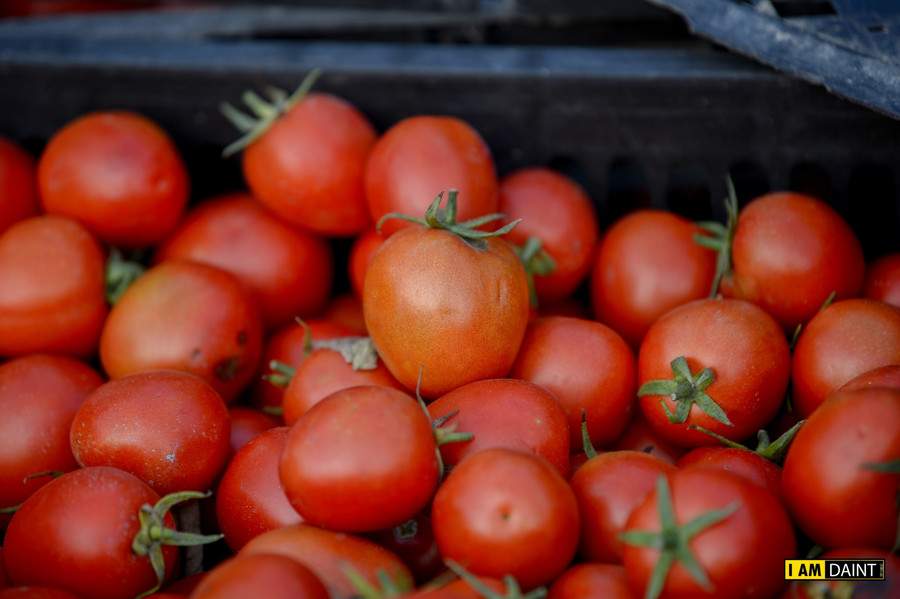 Theo chia sẻ từ người bán, rau củ quả được trực tiếp thu hoạch từ ruộng, mang thẳng đến địa điểm giải cứu chứ không qua bước bảo quản nào cả.