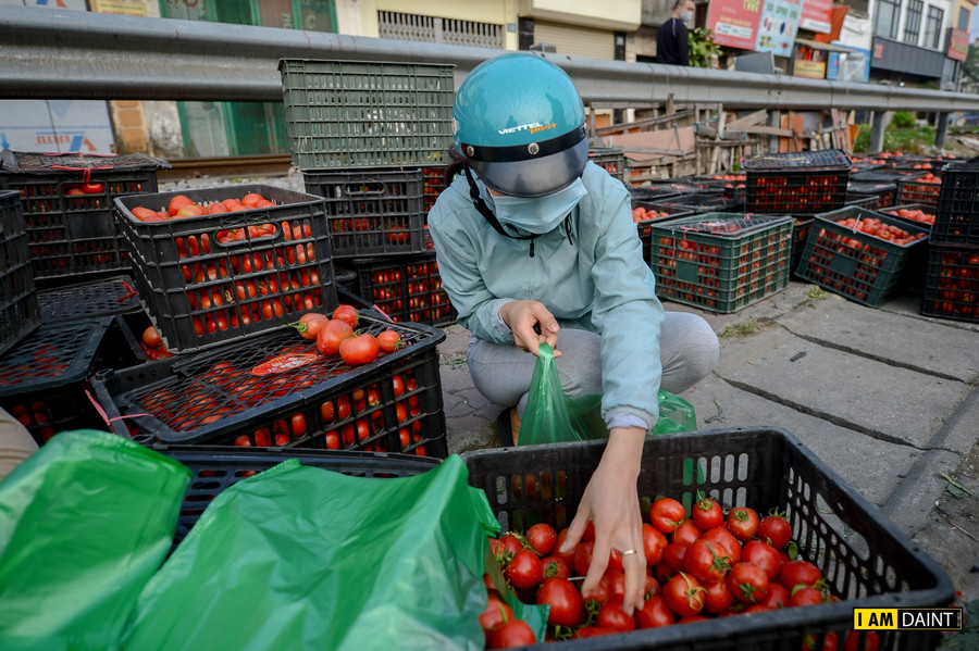 Hôm nay ngày lễ Thần Tài, sau khi đi mua vàng lấy may, nhiều người dân đã tới địa điểm giải cứu nông sản để ủng hộ bà con.