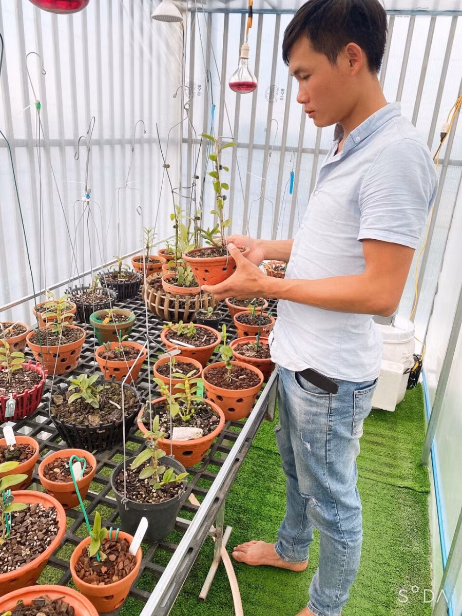 Nghệ nhân Nguyễn Quốc Trường: Cuộc sống mới từ những loài hoa lan ảnh 1