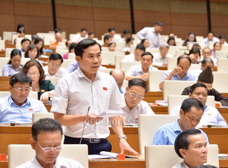 Đại biểu Lê Công Đỉnh – đoàn Long An