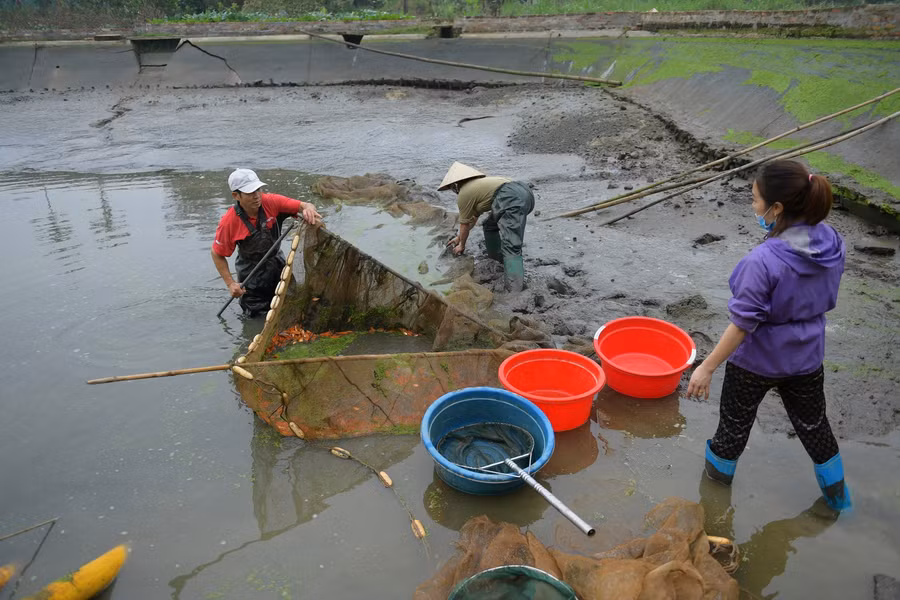 Làng cung cấp "phương tiện" cho ông Công, ông Táo ảnh 2
