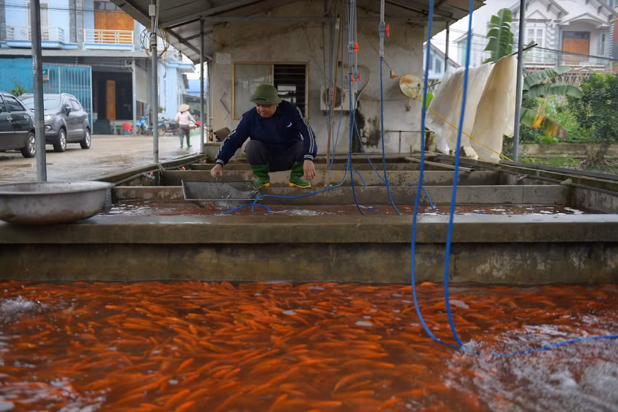 Làng cung cấp "phương tiện" cho ông Công, ông Táo ảnh 12