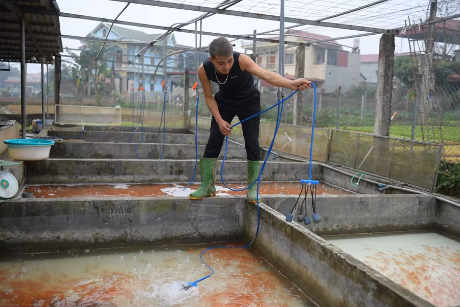 Làng cung cấp "phương tiện" cho ông Công, ông Táo ảnh 11