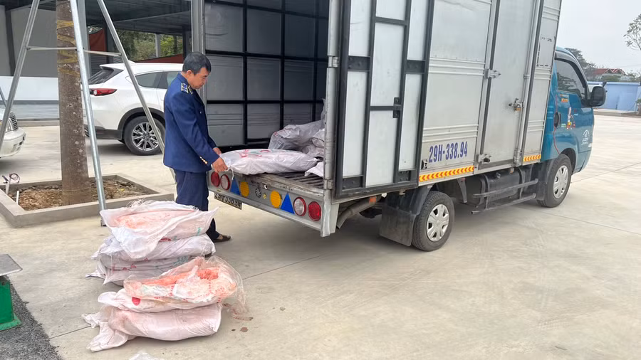 700kg nầm lợn đều đã bốc mùi hôi thối, đang trong quá trình phân hủy.