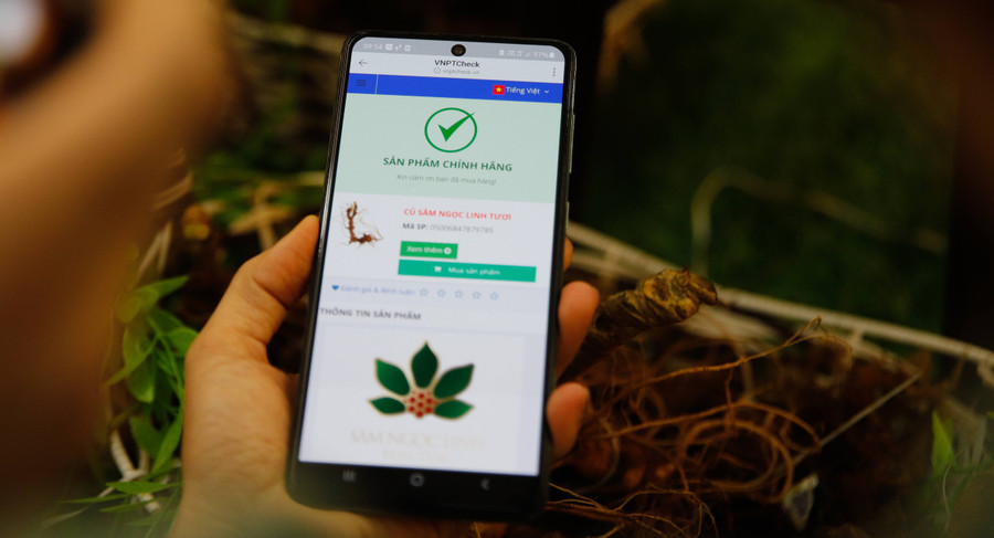 Đồng thời, thường xuyên theo dõi, nắm tình hình trên các trang mạng xã hội như Zalo, Facebook... để xác định các tài khoản thường xuyên có hoạt động giao dịch, buôn bán các sản phẩm từ sâm Ngọc Linh để kịp thời phát hiện, xử lý nghiêm các đối tượng, đường dây kinh doanh sản phẩm không đảm bảo chất lượng, không rõ nguồn gốc, xuất xứ, không có tem chỉ dẫn địa lý “Ngọc Linh”, không có giấy chứng nhận về an toàn thực phẩm, hàng nhái, hàng giả.