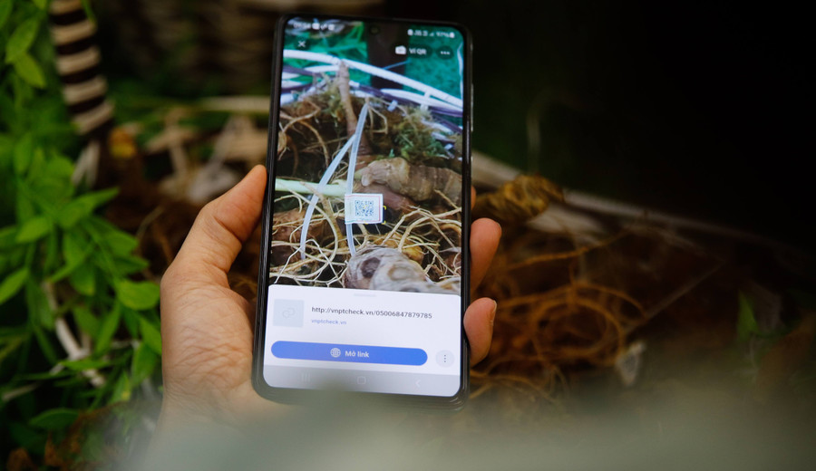 Đồng thời, thường xuyên theo dõi, nắm tình hình trên các trang mạng xã hội như Zalo, Facebook... để xác định các tài khoản thường xuyên có hoạt động giao dịch, buôn bán các sản phẩm từ sâm Ngọc Linh để kịp thời phát hiện, xử lý nghiêm các đối tượng, đường dây kinh doanh sản phẩm không đảm bảo chất lượng, không rõ nguồn gốc, xuất xứ, không có tem chỉ dẫn địa lý “Ngọc Linh”, không có giấy chứng nhận về an toàn thực phẩm, hàng nhái, hàng giả.