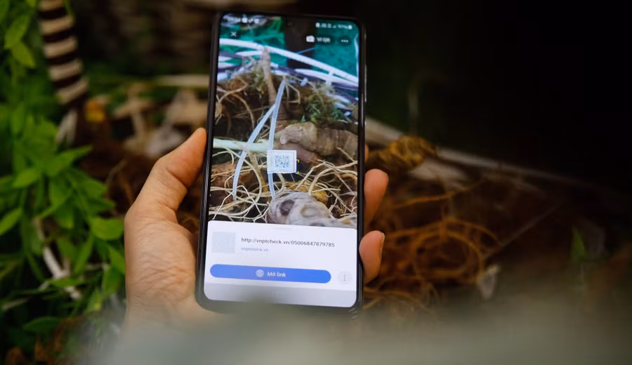 Đồng thời, thường xuyên theo dõi, nắm tình hình trên các trang mạng xã hội như Zalo, Facebook... để xác định các tài khoản thường xuyên có hoạt động giao dịch, buôn bán các sản phẩm từ sâm Ngọc Linh để kịp thời phát hiện, xử lý nghiêm các đối tượng, đường dây kinh doanh sản phẩm không đảm bảo chất lượng, không rõ nguồn gốc, xuất xứ, không có tem chỉ dẫn địa lý “Ngọc Linh”, không có giấy chứng nhận về an toàn thực phẩm, hàng nhái, hàng giả.