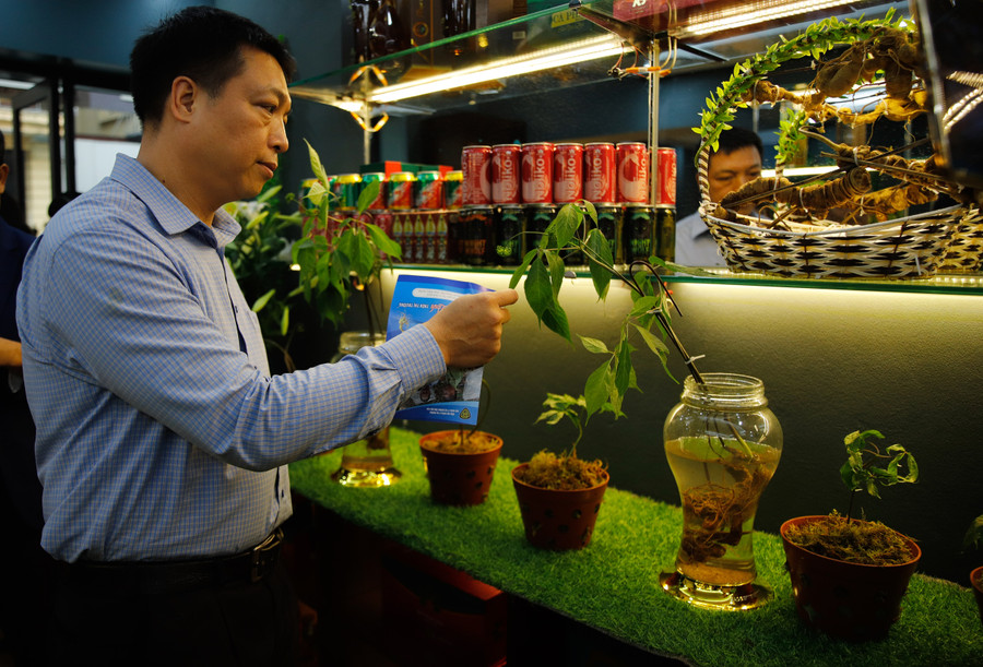 Gian thứ hai sẽ trưng bày giới thiệu các sản phẩm từ sâm như: rượu lá sâm Ngọc Linh; rượu hoa sâm Ngọc Linh… cùng các sản phẩm khác như: trà sâm Ngọc Linh, nước tăng lực sâm Ngọc Linh, tổ yến sâm Ngọc Linh, tổ yến sâm Ngọc Linh K5 Kids, thực phẩm bảo vệ sức khỏe sâm Ngọc Linh, dịch chiết Sâm Ngọc Linh...