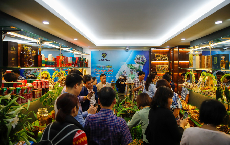 Tuần lễ “Nhận diện đúng sâm Ngọc Linh trên thị trường” sẽ trưng bày, giới thiệu đến người tiêu dùng 2 nội dung, sản phẩm chính là sâm tươi và các sản phẩm được chiết xuất từ sâm.