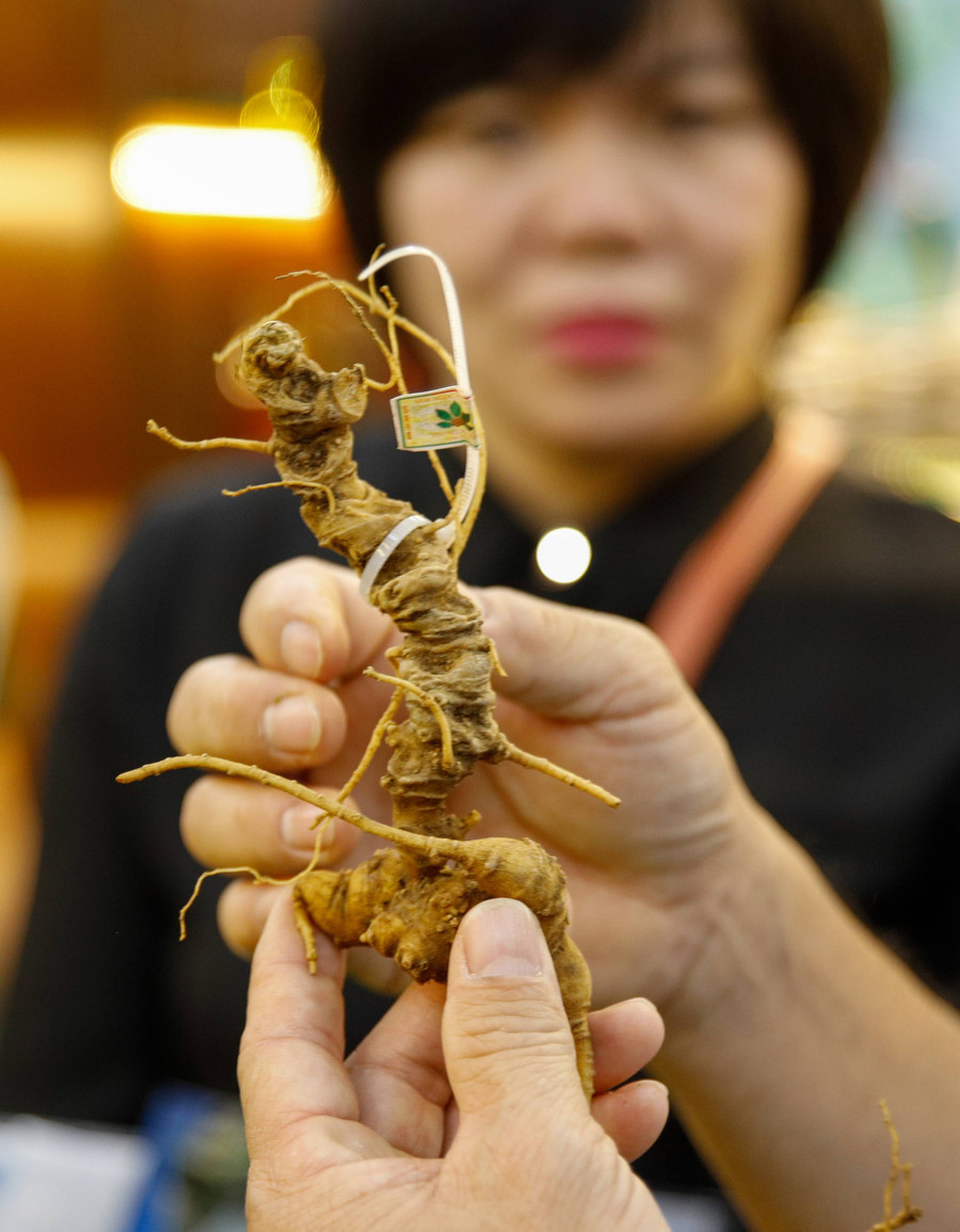 Tại sự kiện, Tổng cục trưởng Trần Hữu Linh chỉ đạo không chỉ Cục QLTT Kon Tum mà tới đây là lực lượng QLTT ở nhiều địa phương khác cần tăng cường triển các biện pháp nghiệp vụ; nắm thông tin từ quần chúng nhân dân tại địa bàn về các địa điểm kinh doanh có biểu hiện gian lận thương mại, vận chuyển, buôn bán các sản phẩm sâm Ngọc Linh (hạt, cây giống, củ, lá, các sản phẩm chiết xuất) kém chất lượng, hàng nhái, hàng giả, không có logo, tem chỉ dẫn địa lý “Ngọc Linh”, kịp thời phát hiện, xử lý theo quy định của pháp luật góp phần bảo vệ thương hiệu sâm Ngọc Linh.