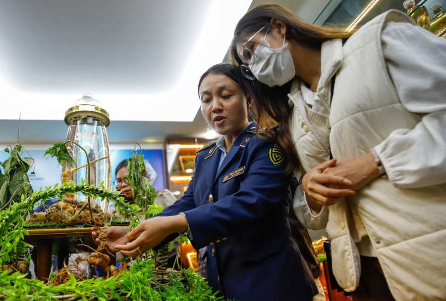 Đồng thời, thường xuyên theo dõi, nắm tình hình trên các trang mạng xã hội như Zalo, Facebook... để xác định các tài khoản thường xuyên có hoạt động giao dịch, buôn bán các sản phẩm từ sâm Ngọc Linh để kịp thời phát hiện, xử lý nghiêm các đối tượng, đường dây kinh doanh sản phẩm không đảm bảo chất lượng, không rõ nguồn gốc, xuất xứ, không có tem chỉ dẫn địa lý “Ngọc Linh”, không có giấy chứng nhận về an toàn thực phẩm, hàng nhái, hàng giả.