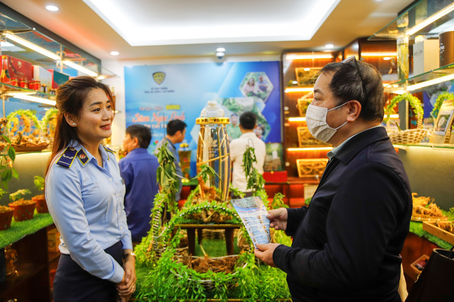 Trong đó, gian trưng bày chính, sẽ giới thiệu đến người tiêu dùng củ sâm Ngọc Linh Kon Tum tươi và một số loại sâm củ tươi khác...