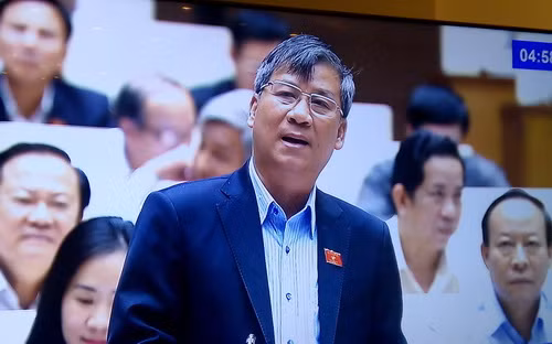 Đại biểu Nguyễn Anh Trí tranh luận tại hội trường