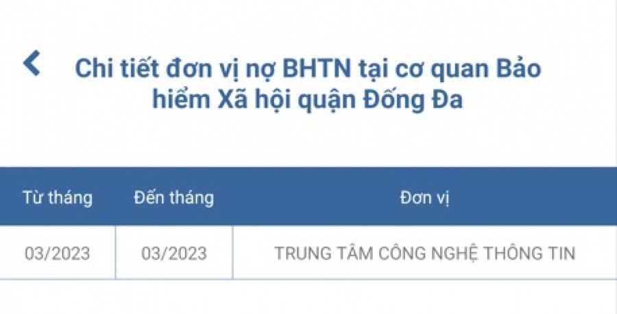 VssID bổ sung tính năng hiển thị tháng chưa đóng BHXH, BHTN ảnh 5