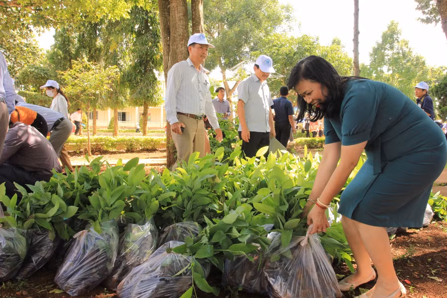 Đại diện các đơn vị nhận cây Kơ nia để trồng tại các trường học.