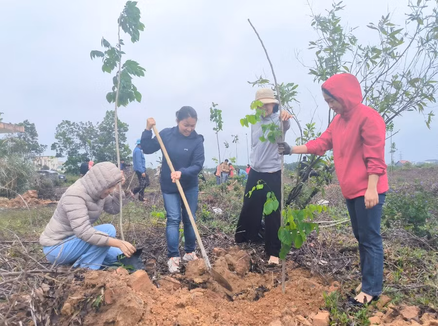 Cán bộ, giáo viên, sinh viên Phân hiệu Đại học Huế tại Quảng Trị trồng cây đầu Xuân.