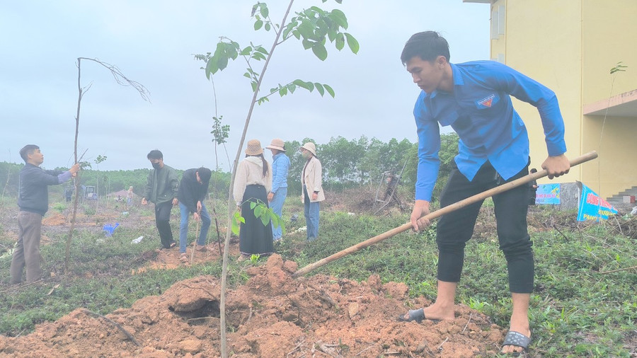Cán bộ, giảng viên trồng cây để tạo cảnh quan. Cán bộ, giảng viên trồng cây để tạo cảnh quan.