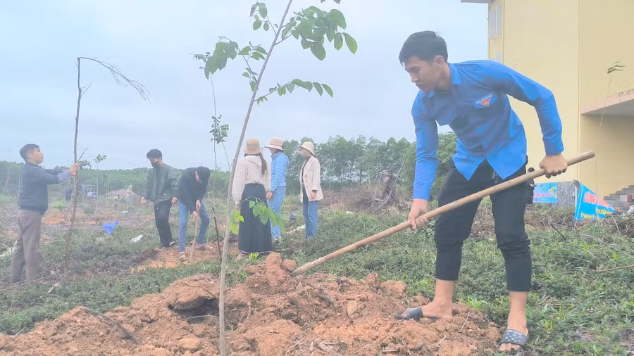 Cán bộ, giảng viên trồng cây để tạo cảnh quan.