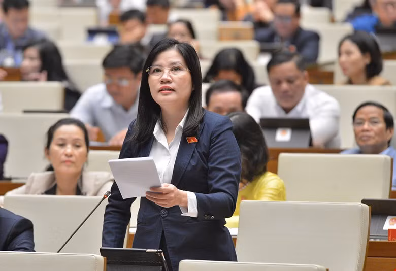 Đại biểu Quốc hội Đinh Thị Phương Lan (đoàn Quảng Ngãi)
