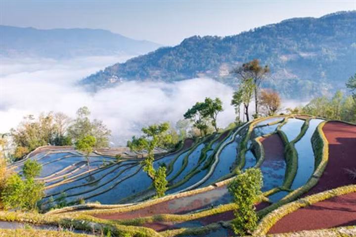 19 bức ảnh về ruộng bậc thang cực đẹp ngắm mãi không biết chán