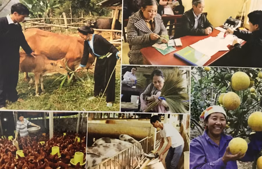 Những sản phẩm nông nghiệp xanh, bền vững không thể thiếu vai trò của các kỹ sư nông học Những sản phẩm nông nghiệp xanh, bền vững không thể thiếu vai trò của các kỹ sư nông học