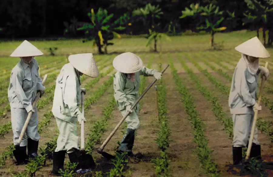 Phát triển nông nghiệp xanh bền vững là hướng đi của tương lai Phát triển nông nghiệp xanh bền vững là hướng đi của tương lai