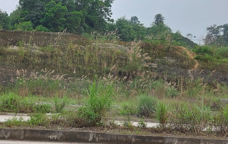 Một phần diện tích gia đình ông Thanh bị thu hồi để làm đường.