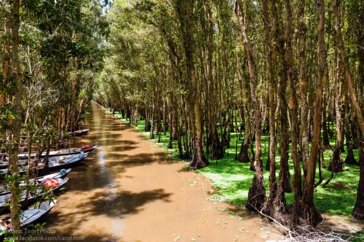 5 rừng tràm nghe là muốn vác ba lô đến ở miền Tây