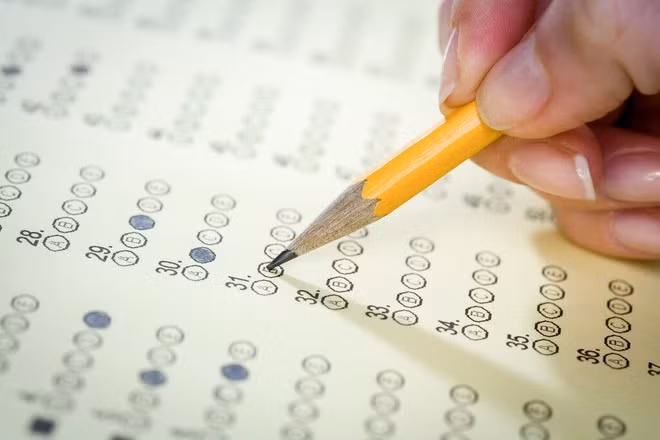 Ảnh minh họa/internet.