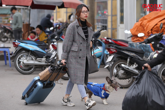 Thú cưng cũng đã được mang theo. Thú cưng cũng đã được mang theo.