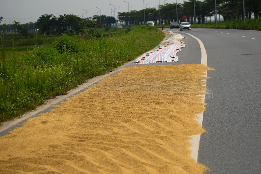 Không chỉ vậy, nhiều gạch, đá, cành cây được người dân dùng để ghim bạt phơi đã trở thành những chướng ngại vật nguy hiểm cho người và phương tiện giao thông.