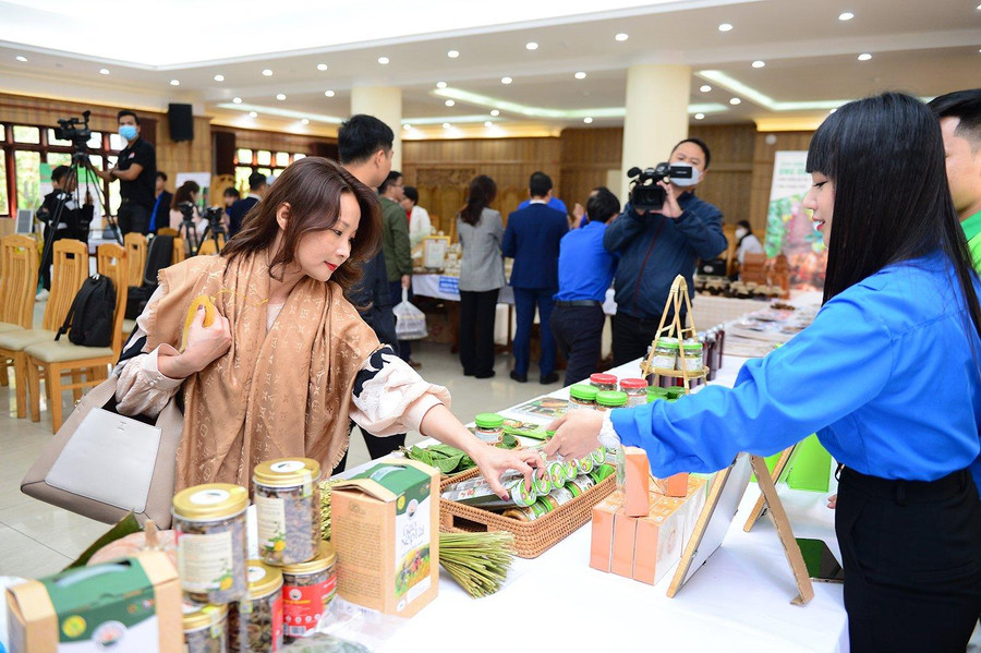 Các khách mời tham quan các dự án.
