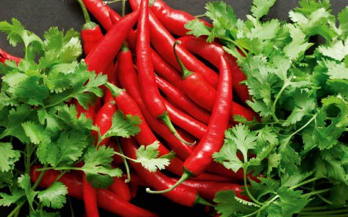 Tại sao nên ăn ớt mỗi ngày