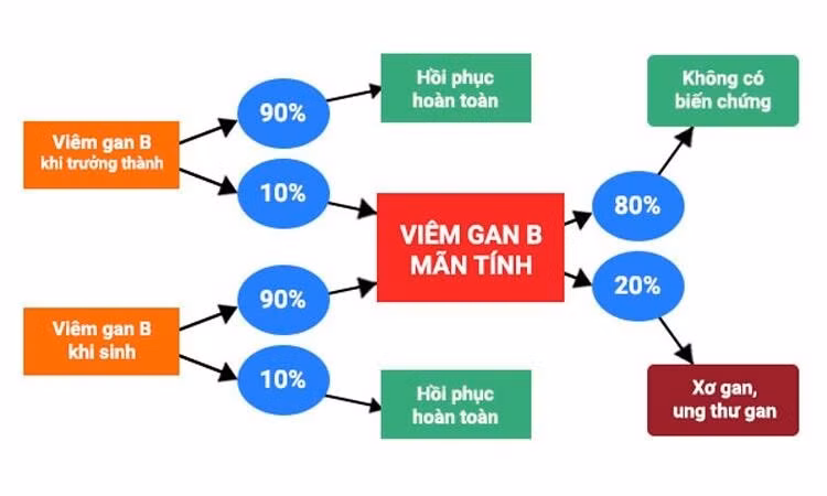 Tỉ lệ gặp biến chứng khi mắc viêm gan B