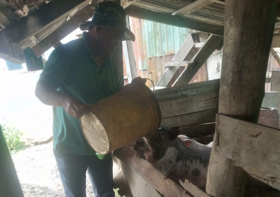 Ngoài giờ hành chính, anh Y Sem tranh thủ tăng gia sản xuất để nuôi con ăn học (ảnh: TT). Ngoài giờ hành chính, anh Y Sem tranh thủ tăng gia sản xuất để nuôi con ăn học (ảnh: TT).