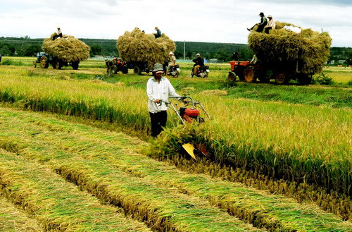 Ảnh minh họa/internet