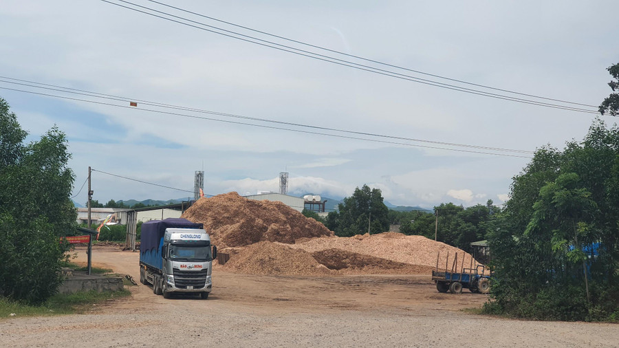 Tại huyện Cam Lộ có 2 nhà máy chế biến gỗ hoạt động không có giấy phép.